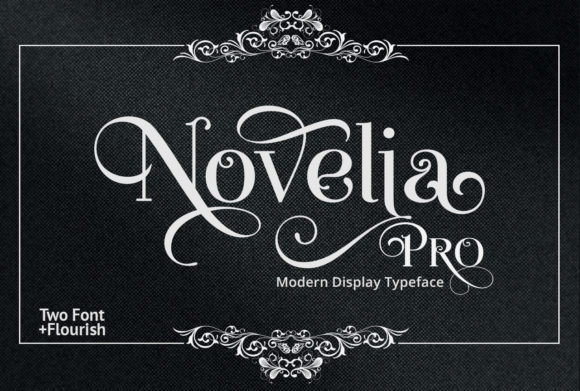 Discover the Charm of Novelia Pro for Your Creative Projects