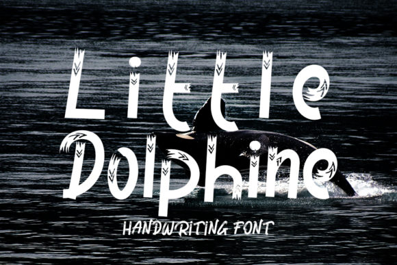 Little Dolphine: A Joyful Display Font for Creative Web Design